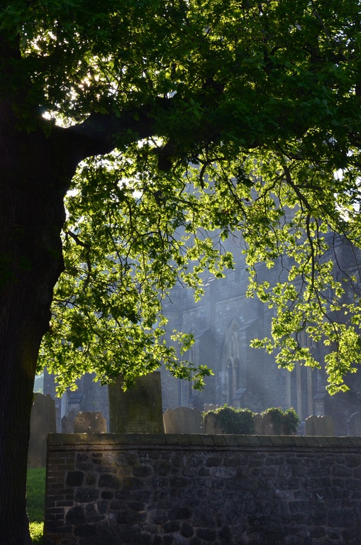 2014-05 Knole Park/DSC_0058.JPG